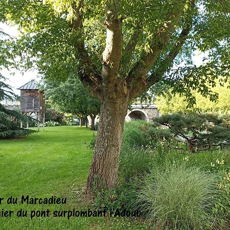 Studio Tarbes Marcadieu ภายนอก รูปภาพ