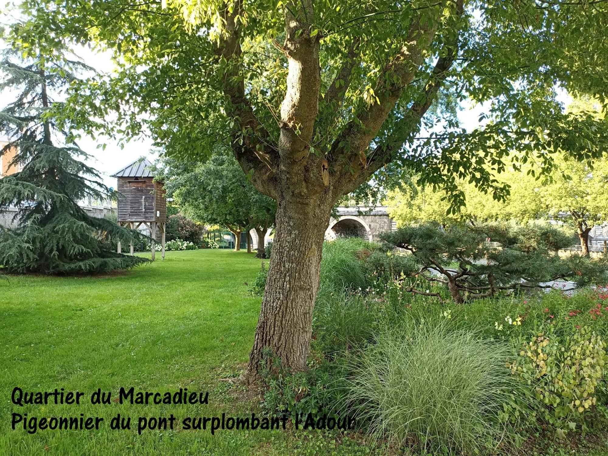 Studio Tarbes Marcadieu ภายนอก รูปภาพ